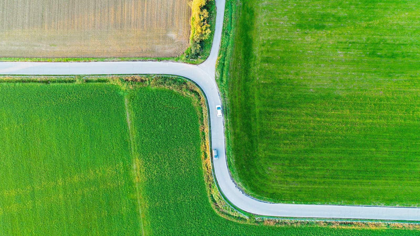 Groene obligaties: Duurzaam beleggen met aantrekkelijk rendement