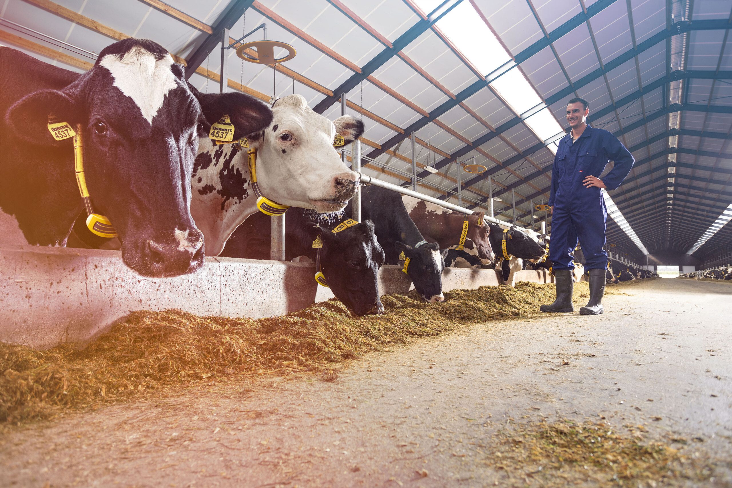 Nedap ziet sterk vierde kwartaal aankomen